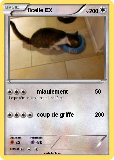 Pokemon ficelle EX