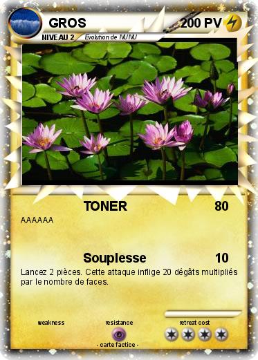 Pokemon GROS