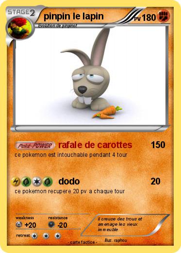Pokemon pinpin le lapin