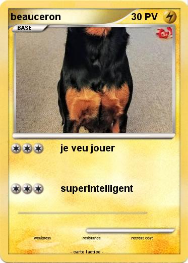 Pokemon beauceron