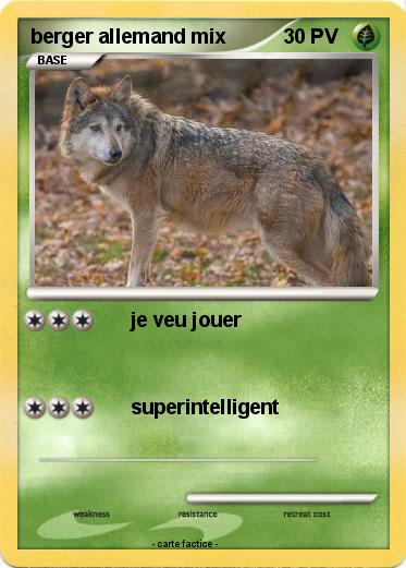 Pokemon berger allemand mix