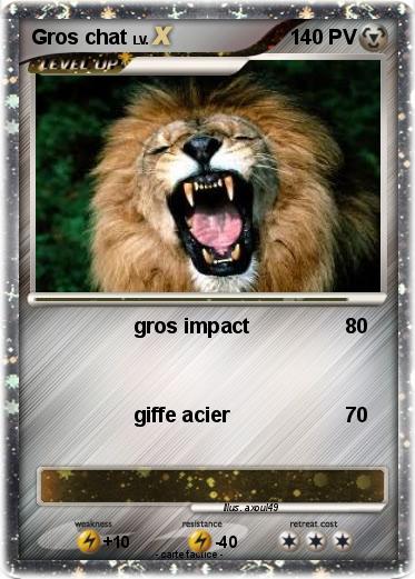 Pokemon Gros chat