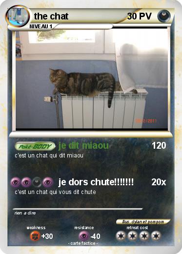 Pokemon the chat