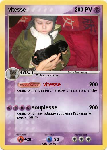 Pokemon vitesse