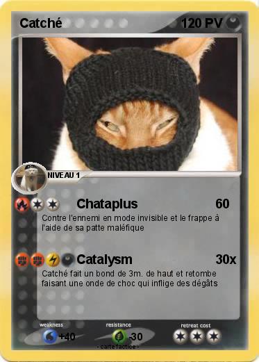 Pokemon Catché