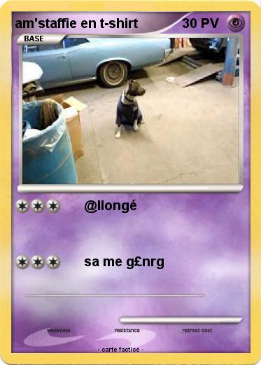 Pokemon am'staffie en t-shirt