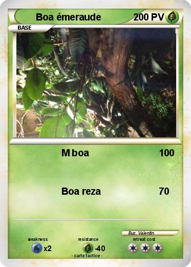 Pokemon Boa émeraude