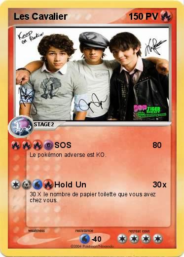 Pokemon Les Cavalier