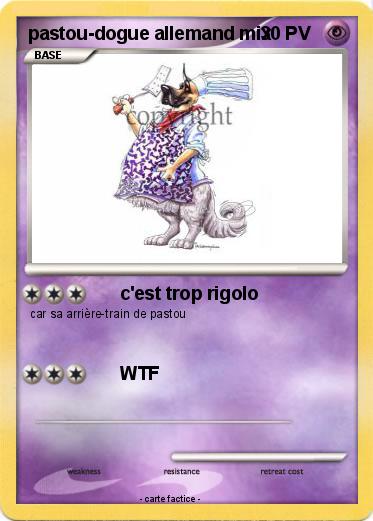 Pokemon pastou-dogue allemand mix