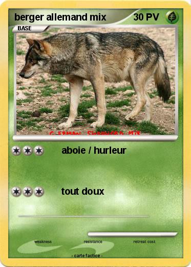 Pokemon berger allemand mix