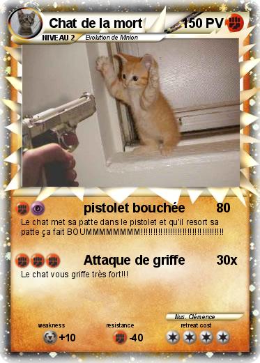 Pokemon Chat de la mort