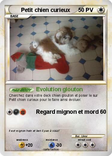 Pokemon Petit chien curieux