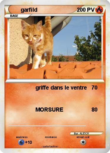Pokemon garfild