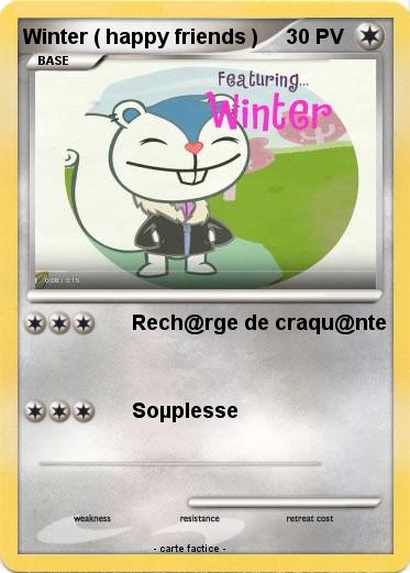 Pokemon Winter ( happy friends )