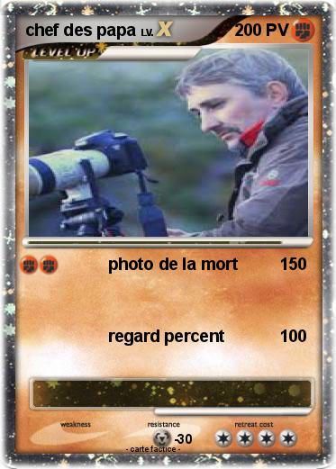 Pokemon chef des papa