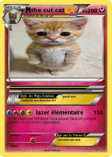 Pokemon the cut cat