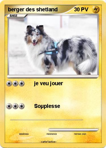 Pokemon berger des shetland