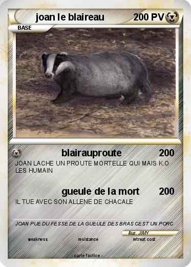 Pokemon joan le blaireau