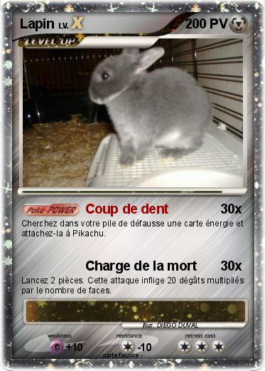 Pokemon Lapin