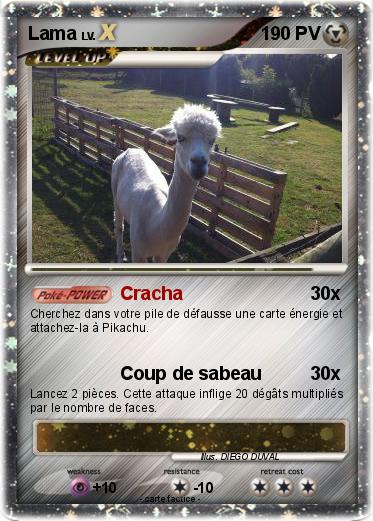 Pokemon Lama