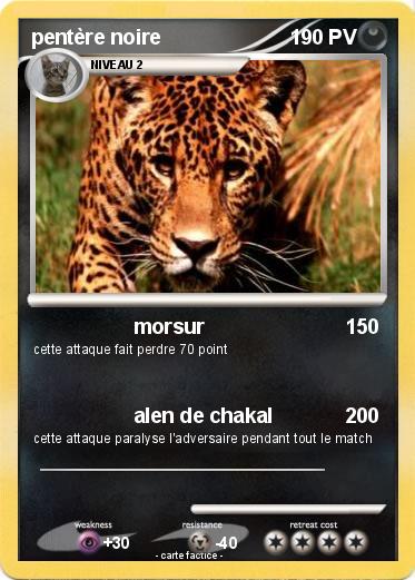 Pokemon pentère noire