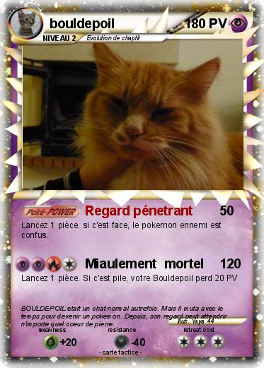 Pokemon bouldepoil