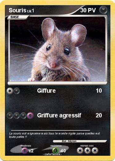 Pokemon Souris