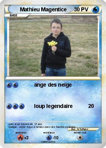 Pokemon Mathieu Magentice