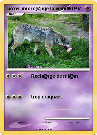 Pokemon boxer mix m@nge la viande