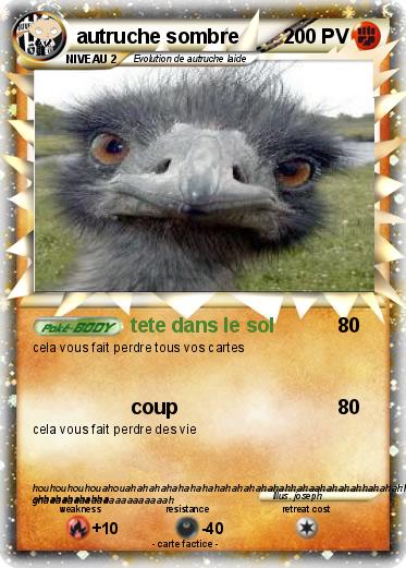 Pokemon autruche sombre