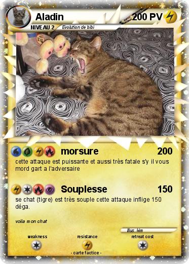Pokemon Aladin