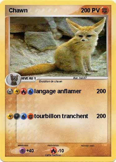 Pokemon Chawn