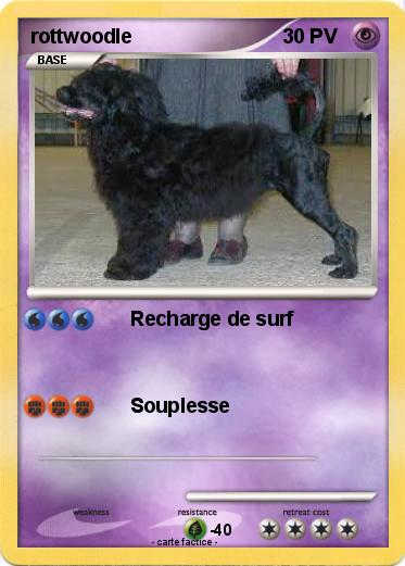 Pokemon rottwoodle