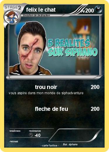 Pokemon felix le chat