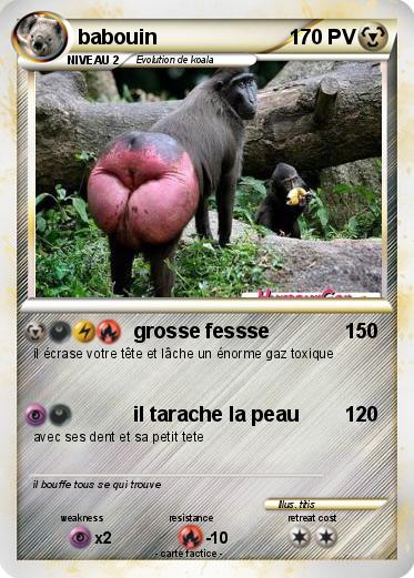 Pokemon babouin