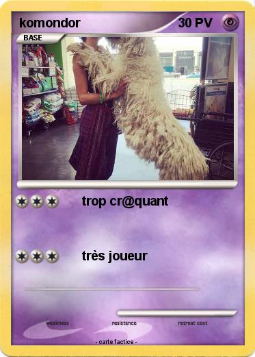 Pokemon komondor