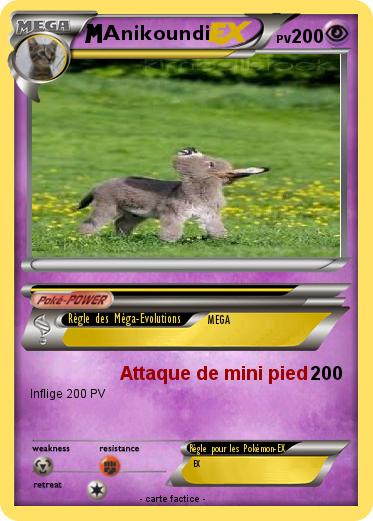 Pokemon Anikoundi