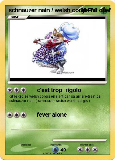 Pokemon schnauzer nain / welsh corgis fat chef