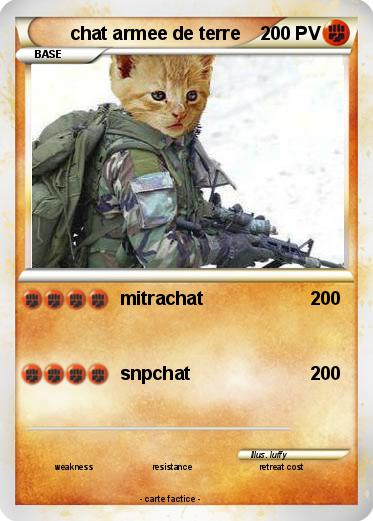 Pokemon chat armee de terre