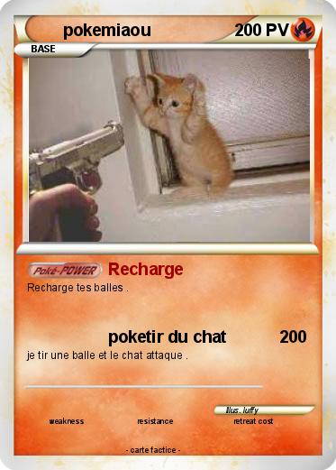 Pokemon pokemiaou