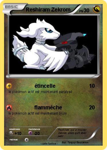Pokemon Reshiram Zekrom