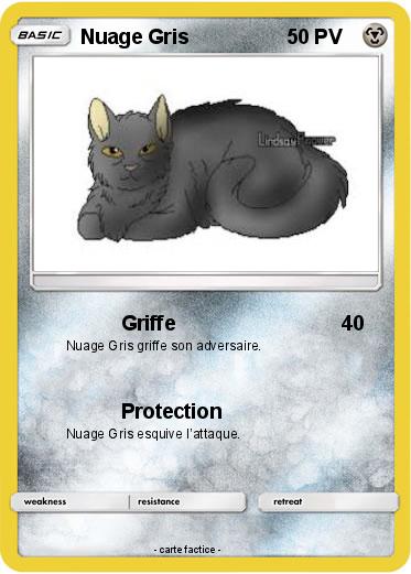 Pokemon Nuage Gris
