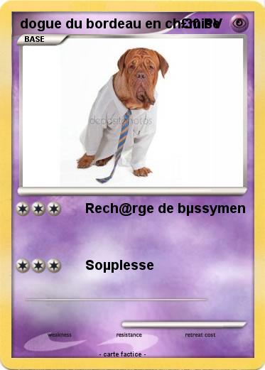 Pokemon dogue du bordeau en ch£mise