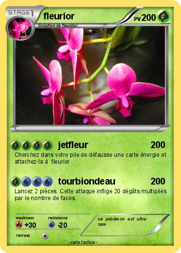 Pokemon fleurior