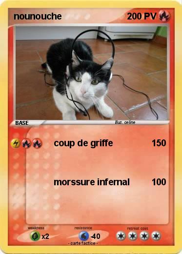 Pokemon nounouche
