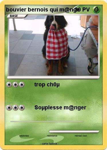 Pokemon bouvier bernois qui m@nge
