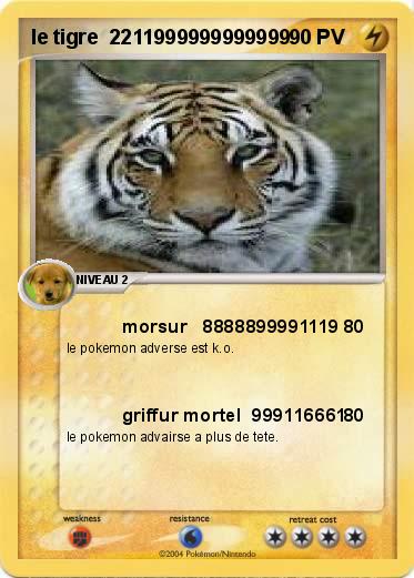 Pokemon le tigre  2211999999999999