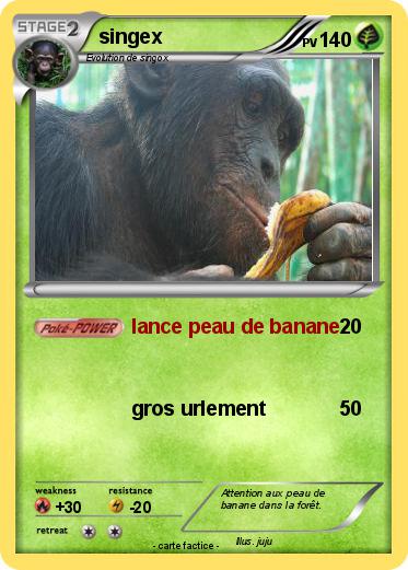 Pokemon singex