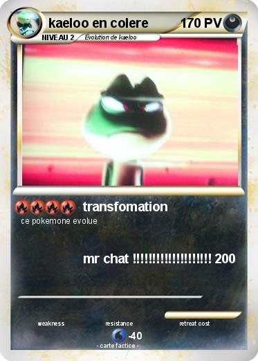 Pokemon kaeloo en colere