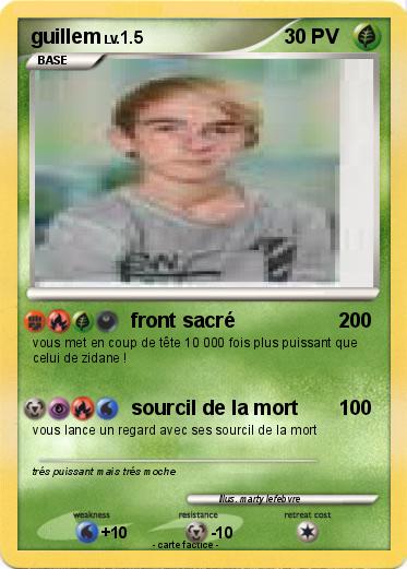Pokemon guillem